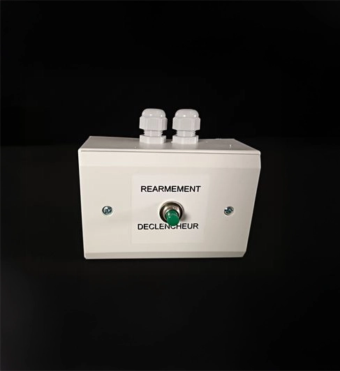 Bouton poussoir REARMEMENT sur boitier avec presse étoupe et carte antiréarmement incorporée